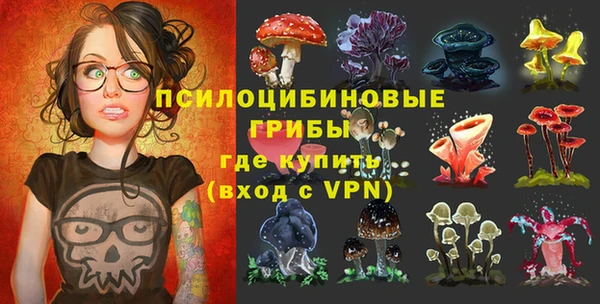 дживик Алексин