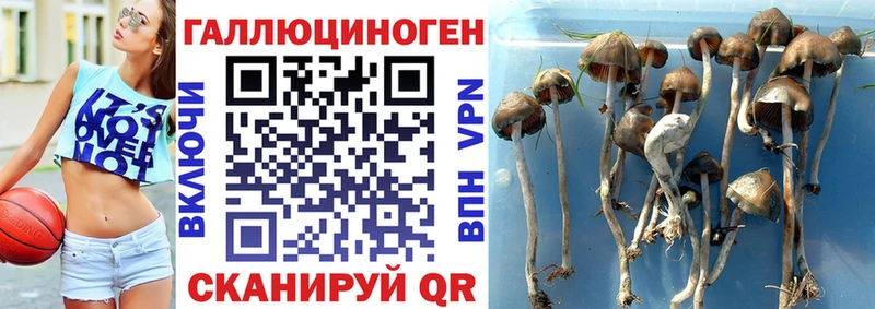Псилоцибиновые грибы прущие грибы  hydra ССЫЛКА  Артёмовск 